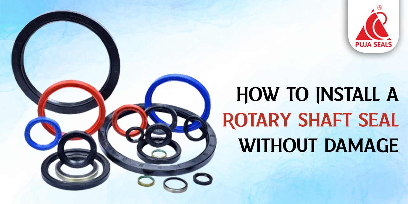 Rotary Shaft Seal