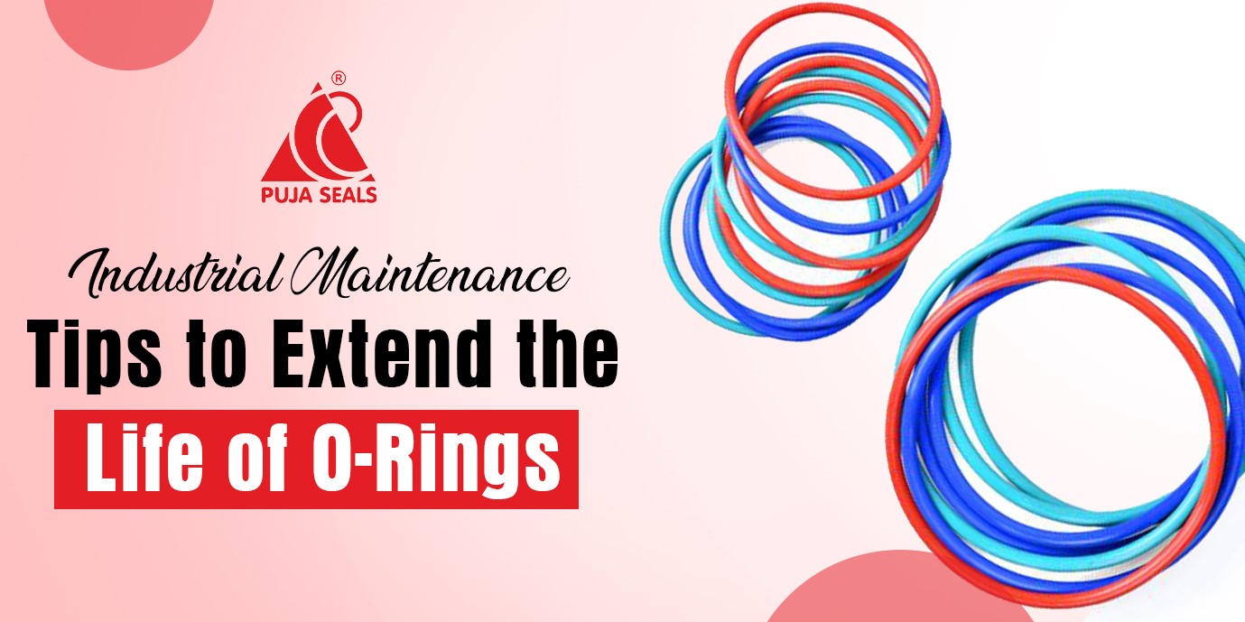 O-Rings